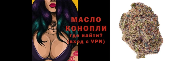 прущий лед Гусев