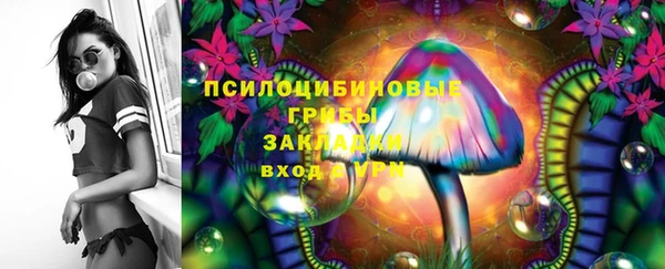 прущий лед Гусев