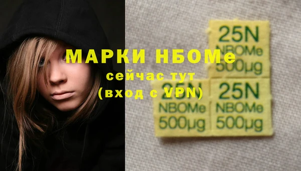 прущий лед Гусев