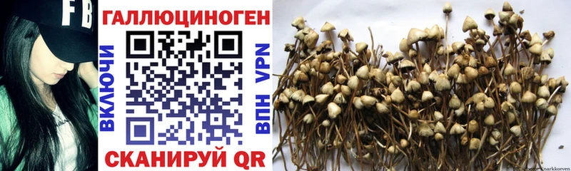 Купить закладки  Мыски  Псилоцибиновые грибы MAGIC MUSHROOMS 